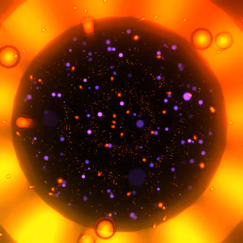 Cosmic Bloom By Leo Villareal
