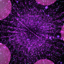 Cosmic Bloom #962