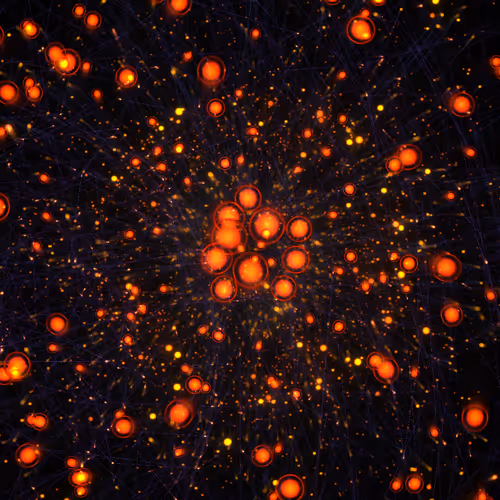 Cosmic Bloom #1277
