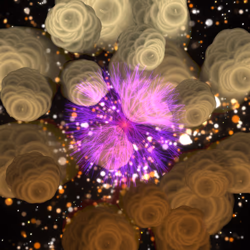 Cosmic Bloom By Leo Villareal
