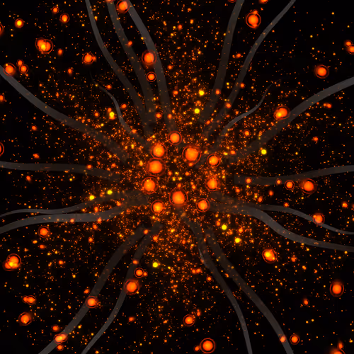 Cosmic Bloom #540