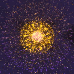 Cosmic Bloom #667