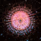 Cosmic Bloom #743