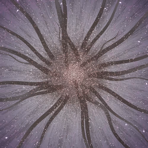Cosmic Bloom By Leo Villareal