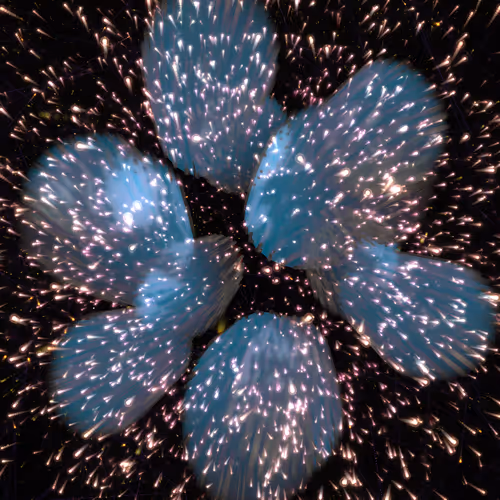 Cosmic Bloom #1180