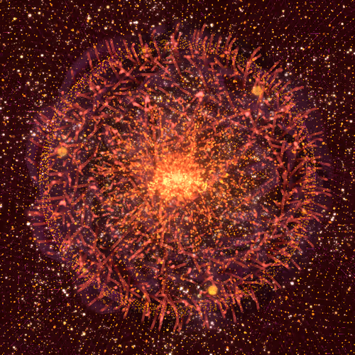 Cosmic Bloom By Leo Villareal