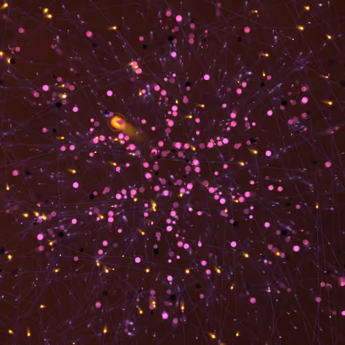 Cosmic Bloom #1282