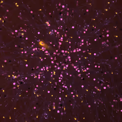 Cosmic Bloom #1282