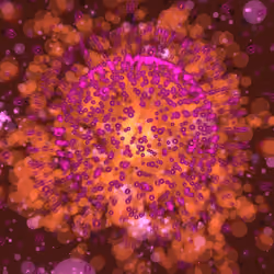 Cosmic Bloom #963