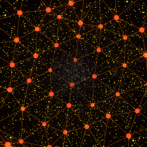 Cosmic Bloom #199