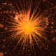 Cosmic Bloom #1157