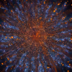 Cosmic Bloom #1179