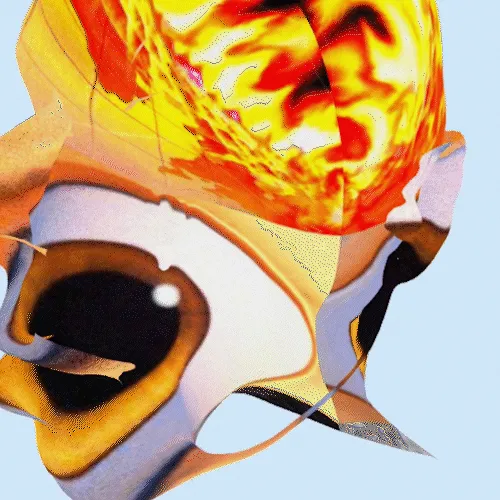68