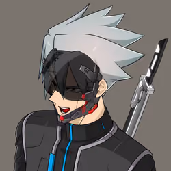 CyberRonin #3053
