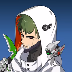 CyberRonin #1466