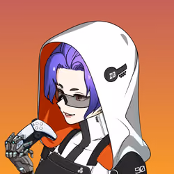 CyberRonin #1360