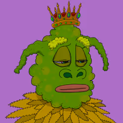 420 #384