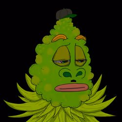 420 #249