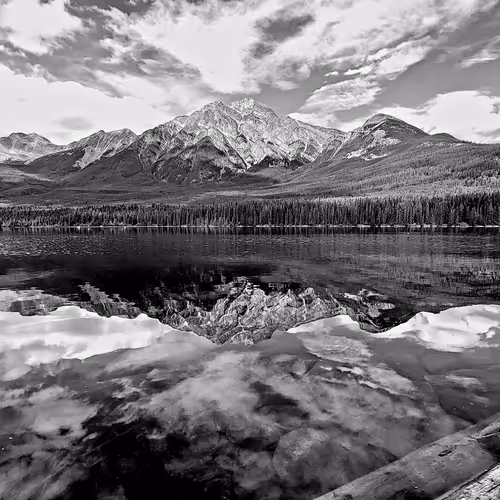 Nature Photography - hvoNyB4BJI