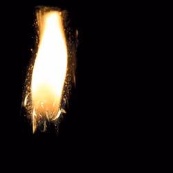 Say Light!