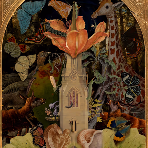 Collage Universe 01