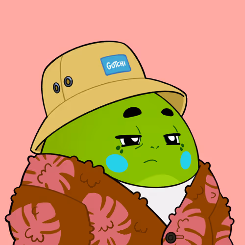 Dino Gotchis