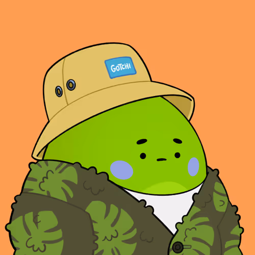 Dino Gotchis