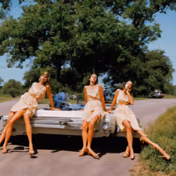 Hitchhikers