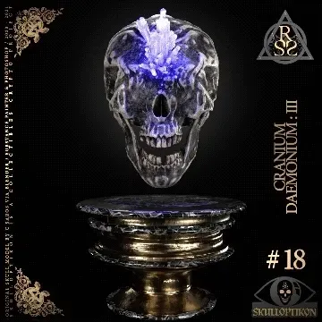 Item #12 Media