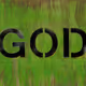 579