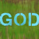 246