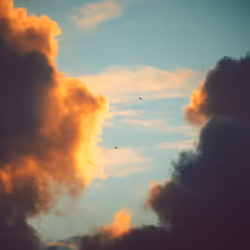 Oh, to Soar with You Again #24