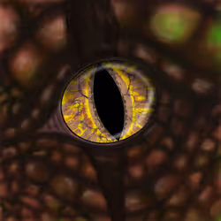 89