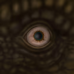 71