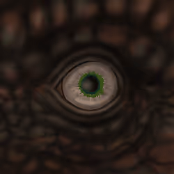 87
