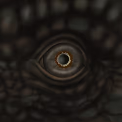 54