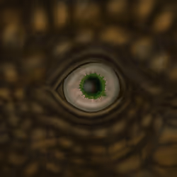 31