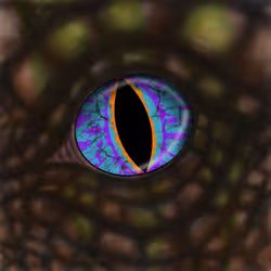 52