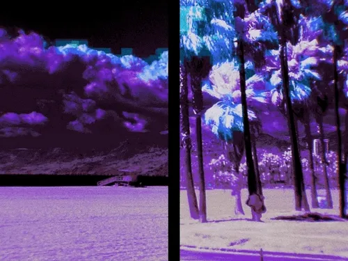 Aomeditionx