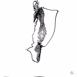 J48BAFORM #2248