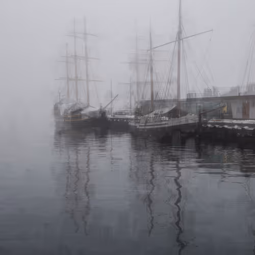 Silent Screams of Winter