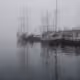 Silent Screams of Winter
