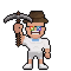 Goldminer #9885