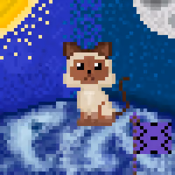 DoonX Cats #1082