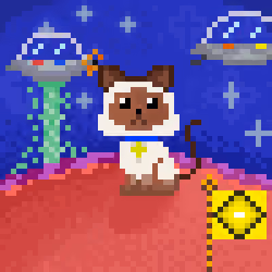 DoonX Cats #1148