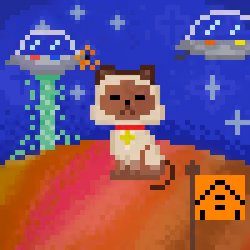 DoonX Cats #963