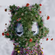 WHO OPEN EDITIONS