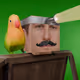 43