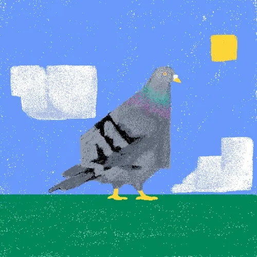 animals