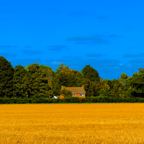 Colours Of Home